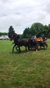Središki konjeniki udeležbo v Zelendvoru kronali z zmago dvovpreg 1
